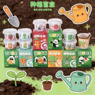 小盆栽幼儿园礼物室内种植花卉种子学生桌面绿植盆栽开学礼品盲盒
