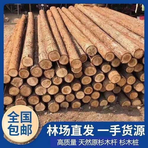 天然原杉杉木桩可削尖工地顶杆
