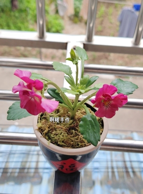 树脂粘土仿真花卉角瑾单支纯手工制作黏土花摆件现货礼品节日礼物