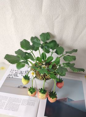 粘土草莓(大果)盆栽纯手工制作黏土摆件现货情侣礼品装饰品送礼物