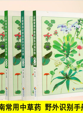 云南常用中草药野外识别手册数学