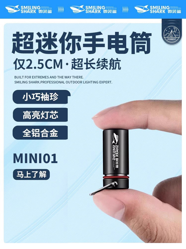 迷你手电筒小Led灯珠强光紧凑型便携式钥匙扣小可用于家庭户外防
