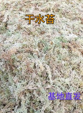 干净少杂质纯天然水苔