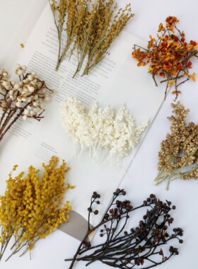 小枝植物素材干花永生花高粱穗