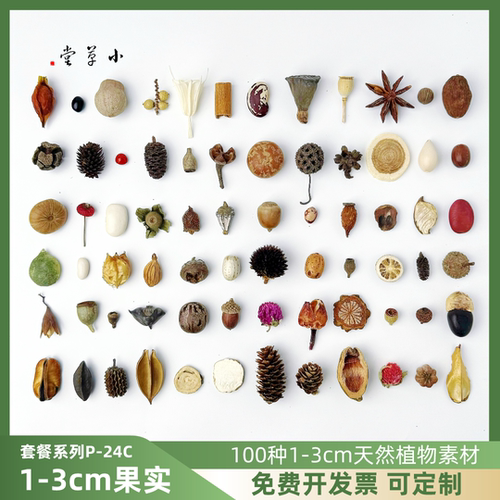 【1-3cm植物素材】多种天然果实手工diy标本蜡烛香薰幼儿环创滴胶