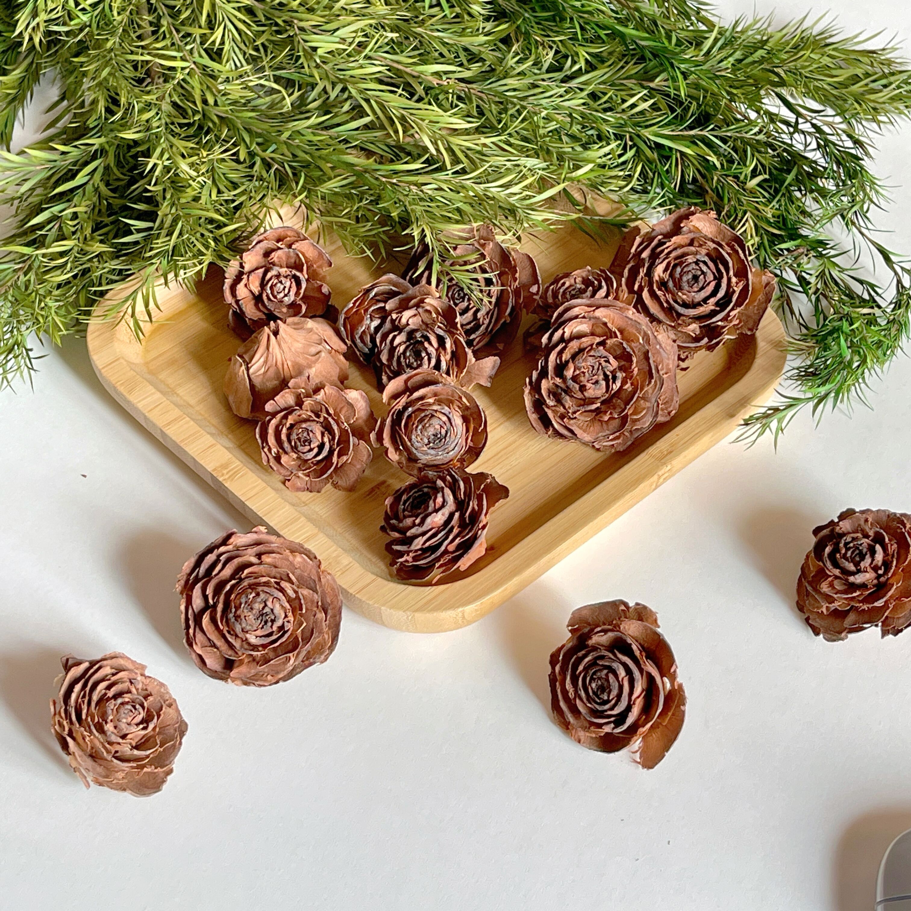 木玫瑰手工DIY材料植物标本画