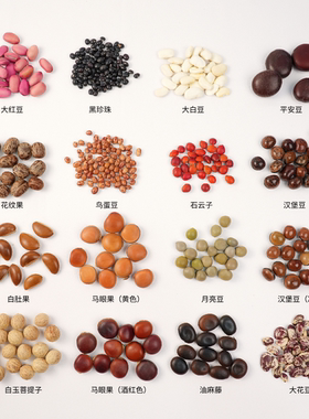 【标本豆类】天然植物diy材料干果进口马眼汉堡油麻藤海红石云子