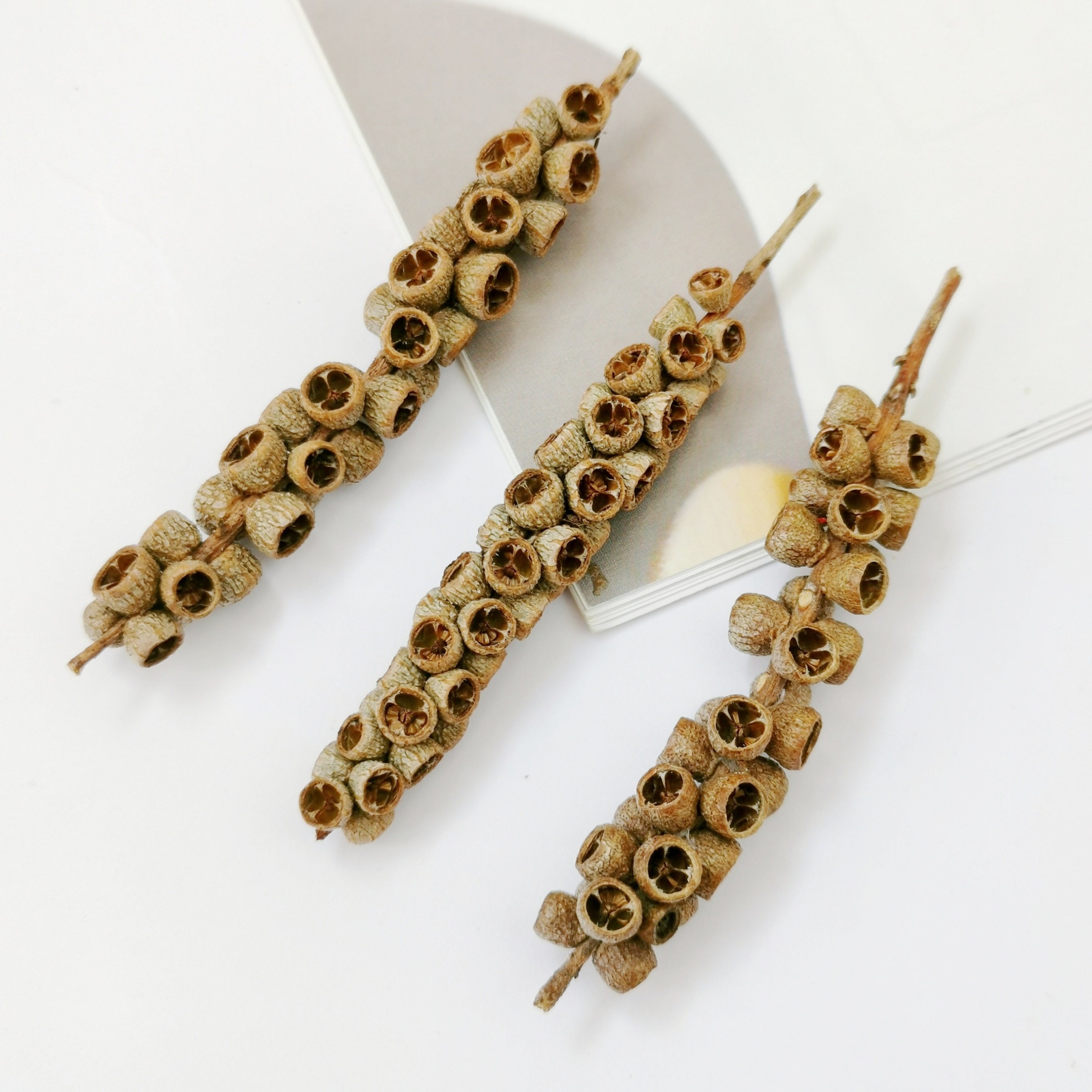 【佛珠果】蜡烛香薰辅材天然植物果实串干果香包标本收集手工diy