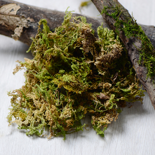 【干苔藓】天然绿色真苔藓干青苔微景观盆栽永生花材料森系干花包