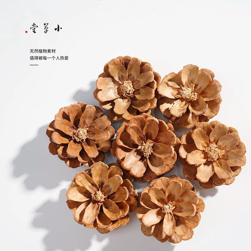 【松果花】已剪好松果花干松球花瓣节日zakka装饰品幼儿手工diy