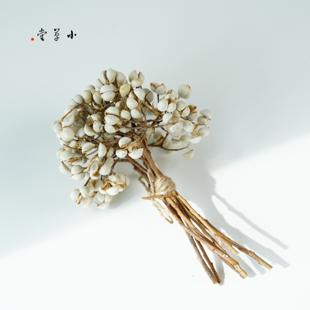 【长枝小白果】天然干花手工diy材料插花艺术工艺品材料圣诞花环