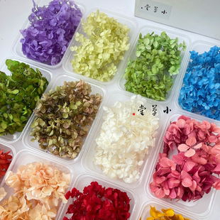 A级安娜小叶木绣球复古永生花干花DIY材料包滴胶配叶制作团扇相框