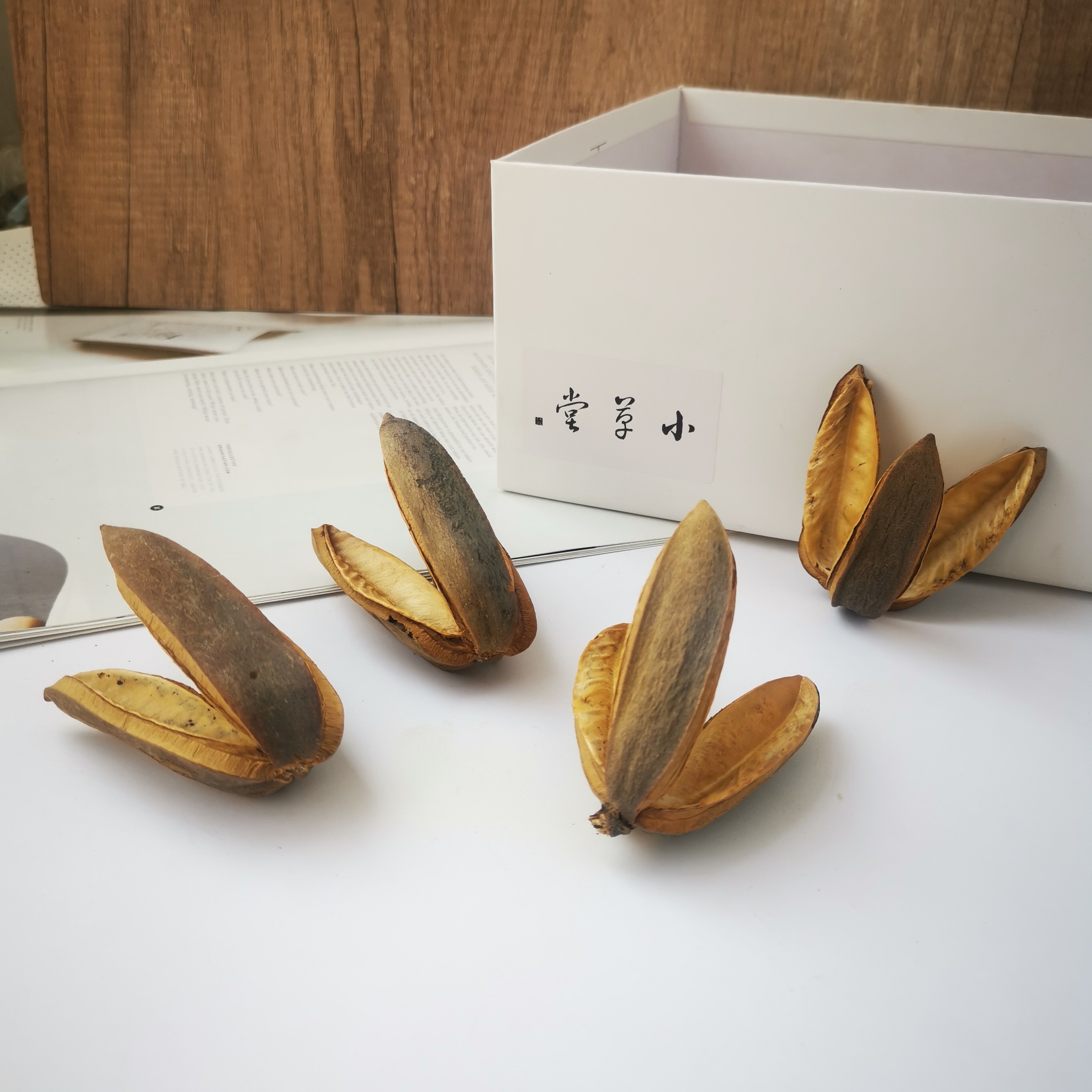 【三瓣木花】天然进口植物果实果壳 鱼缸造景插花工艺装饰手工DIY