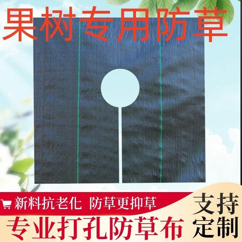 防草布切片农业打孔盖草布防草柑橘脐橙枇杷零裁除草布抑杂草地膜