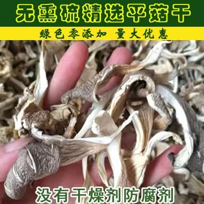 平菇干货500g包邮家庭散装