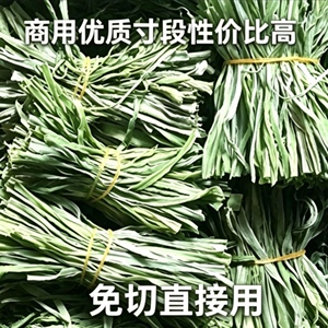 精选免切贡菜干10CM长去头去尾苔菜干货火锅食材苔干不黑响菜干