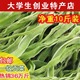 净重10斤 包邮 精选无叶贡菜新鲜苔干苔菜农家干货土特产脱水蔬菜