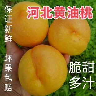 黄油桃河北保定新鲜水果当季时令整箱黄金蜜无毛硬脆软甜好吃多汁