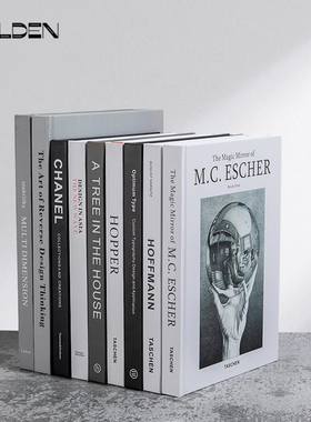 英文仿真书本摄影道具摆件