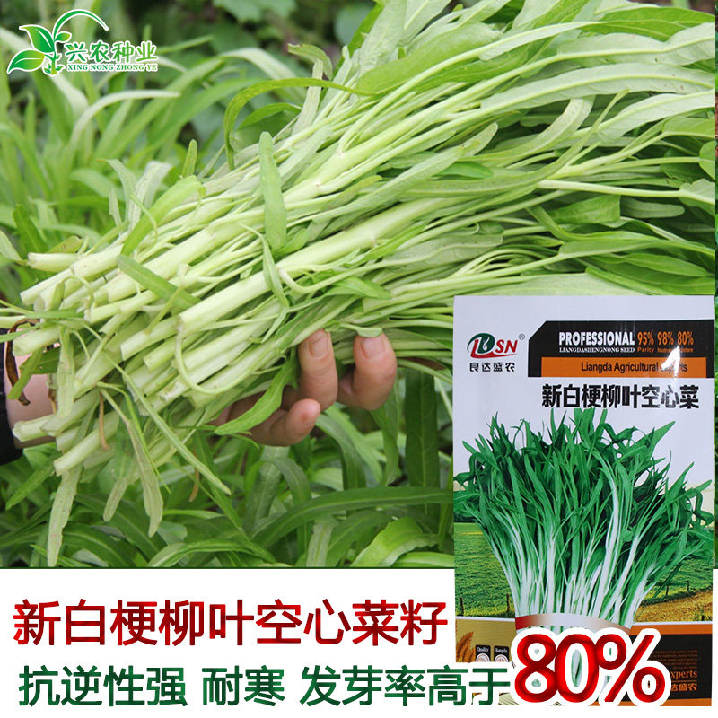 台湾新白梗柳叶空心菜种子小青菜四季种蔬菜种孑春秋农家籽盆栽,农用物资,蔬菜种子/种苗,淘宝优惠券,粉丝福利购,淘宝优惠卷