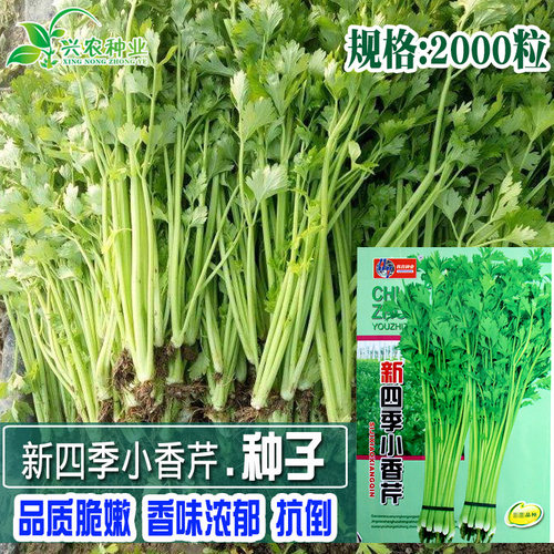 种栽培质量怎么样 种栽培口碑怎么样 小麦优选