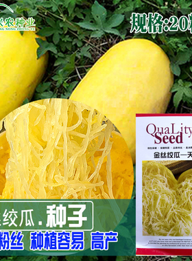 绞丝金丝瓜种子 搅绞瓜种子角瓜种子观赏果蔬天然粉丝味同海蜇