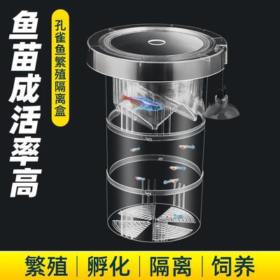鱼缸孔雀鱼孵化器繁殖盒亚克力隔离盒热带鱼孵化产卵器鱼苗隔离盒