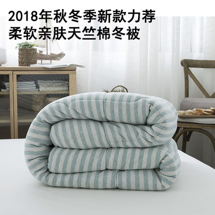 八零末良品加厚保暖天竺棉针织棉全棉秋冬被纯棉春无印秋被芯被子