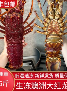 澳洲红龙虾鲜冻大龙虾水产品