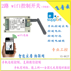 2路 WiFi远程手机控制器 网络无线遥控继电器开关 天猫精灵WK2T