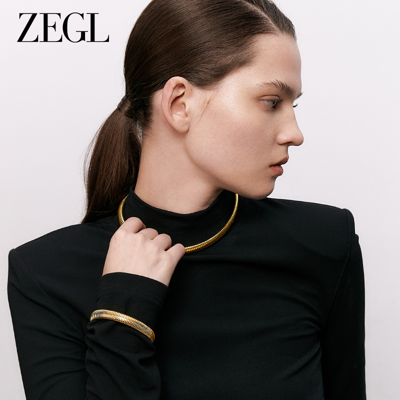 ZEGL金色欧美风choker项圈女款轻奢小众2025年新款蛇骨脖颈链项链