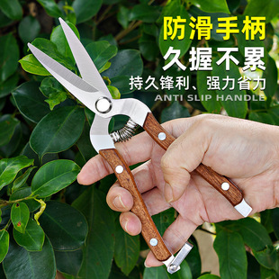 林太作修枝剪刀园艺花园用剪刀园艺修剪树木园艺修枝