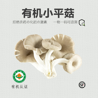 有机小平菇新鲜香菇菌菇150g*5份