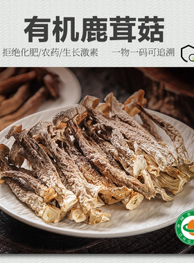 【新品】有机鹿茸菇JT75g