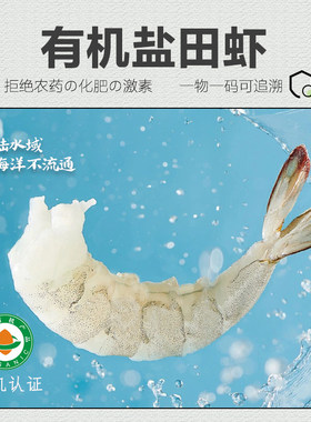有机虾 生态盐田虾活虾速冻虾仁鲜虾宝宝辅食冷冻大虾俏虾客®