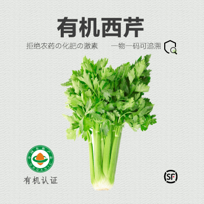 有机西芹4斤 无农残新鲜芹菜榨汁轻食时令蔬菜【顺丰包邮】