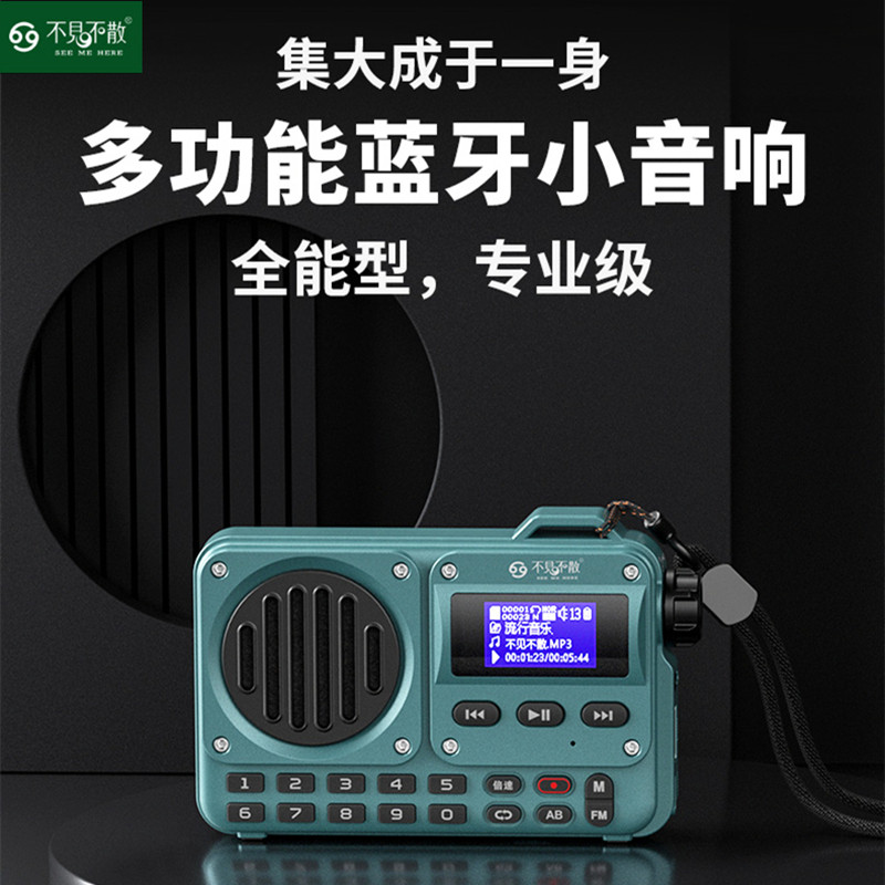 不见不散BV800 蓝牙音箱收音机便携式插卡音响老人儿童播放器倍速