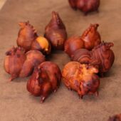 印度小叶紫檀木雕猪摆件实木质对r猪生肖福猪家居客厅装 饰摆设