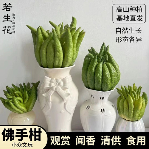 佛手果新鲜鲜果云南水果食用可清供非金华佛手佛手柑摆件