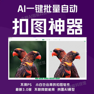 AI批量图片视频抠图软件换背景水印擦除一键自动扣图视频人物工具