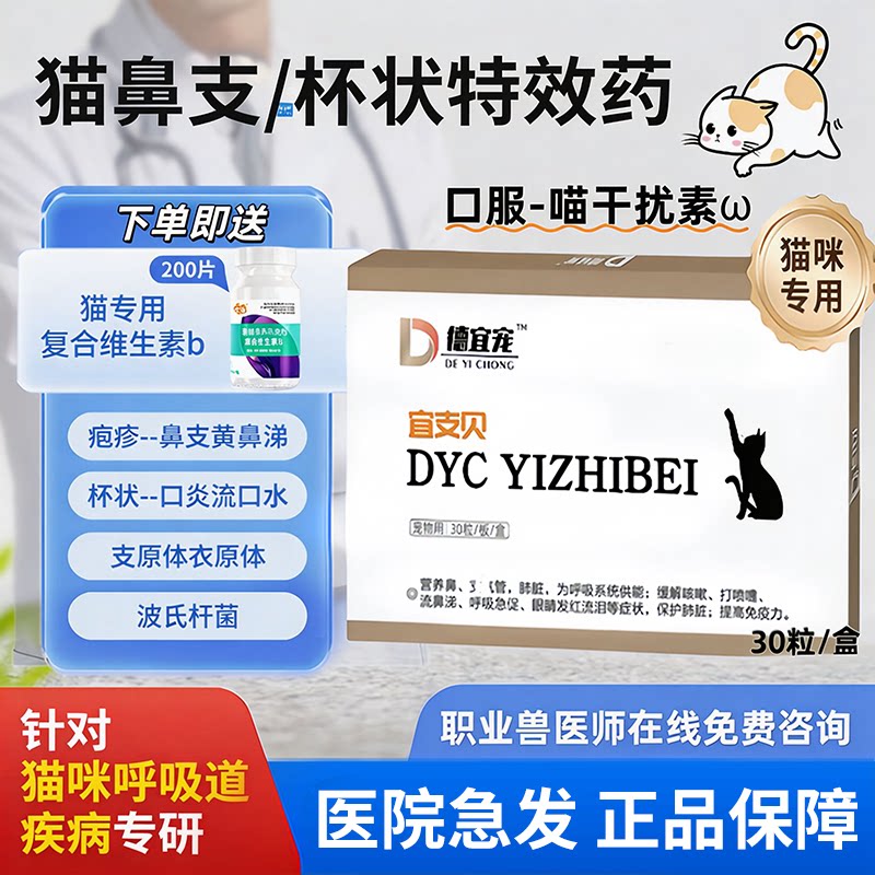 猫咪口炎杯状病毒治疗猫鼻支感冒
