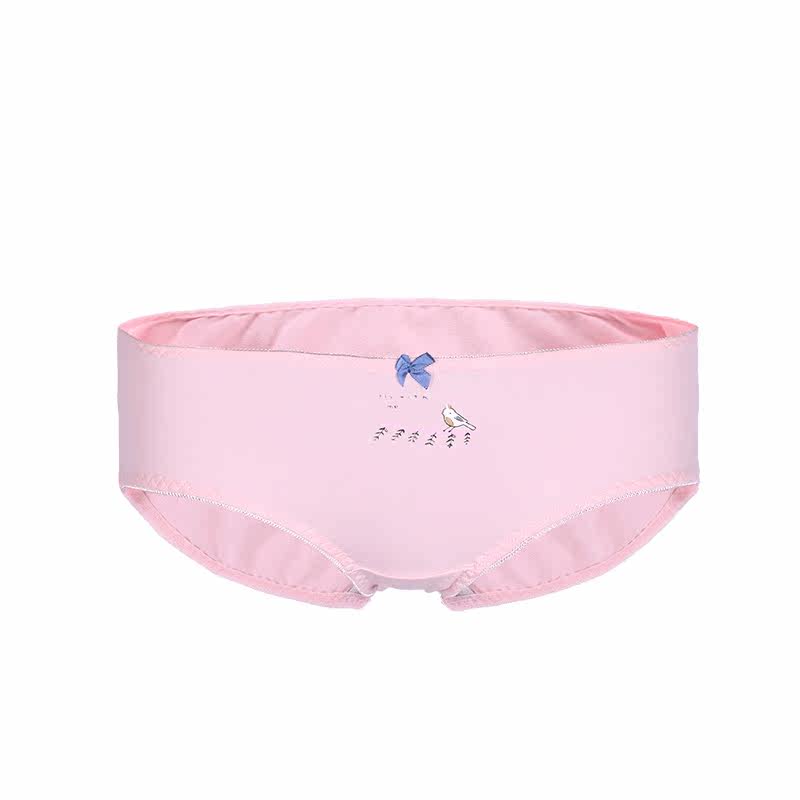 Slip jeunesse QU6290 en coton - Ref 661128 Image 5