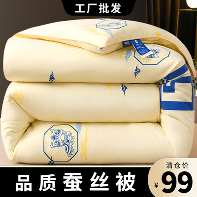 桑蚕丝工厂批发加厚冬被四季通用