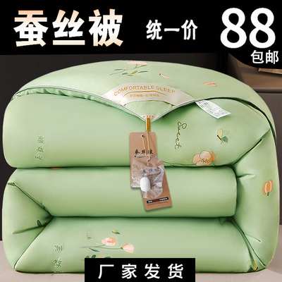 蚕丝100%%桑蚕被子冬被棉被家用