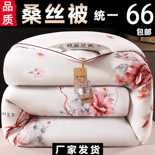 加厚正品桑丝被子冬被学生被特价