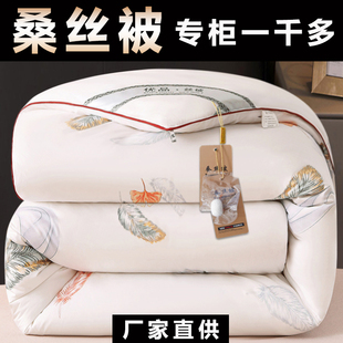 加厚桑丝被子冬被保暖丝棉被芯春秋冬季太空被双人家用过冬棉絮