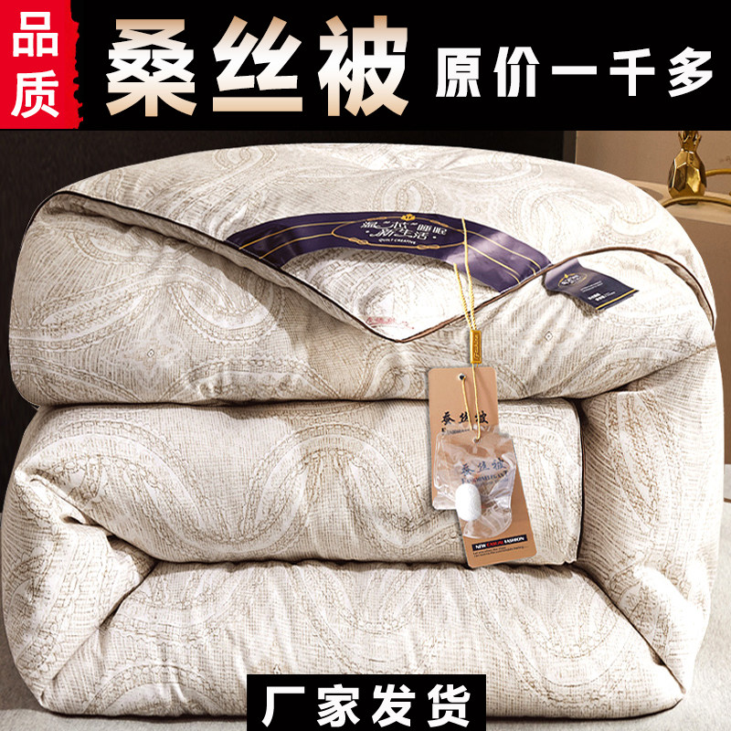 加厚蚕丝被子冬天棉絮保暖丝棉被图片
