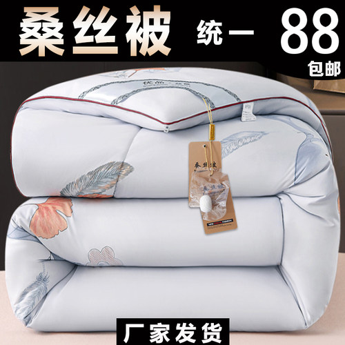 加厚被子冬被保暖桑丝被冬季棉絮