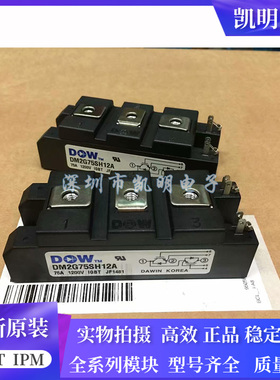 全新DM2G100SH12AE DM2G75SH12A DM2G75SH6N DM2G100SH6A SH12A