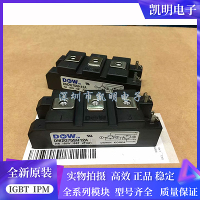 全新DM2G100SH12AE DM2G75SH12A DM2G75SH6N DM2G100SH6A SH12A